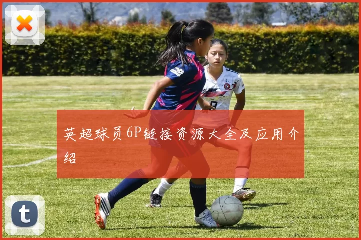 英超球员6P链接资源大全及应用介绍