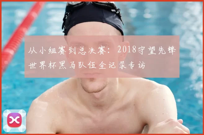 从小组赛到总决赛：2018守望先锋世界杯黑马队伍全记录专访