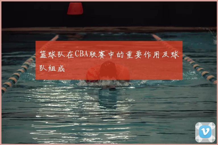 篮球队在CBA联赛中的重要作用及球队组成