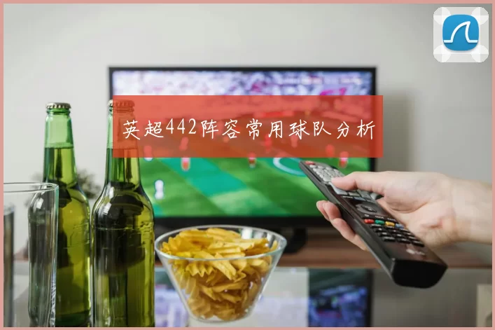 英超442阵容常用球队分析