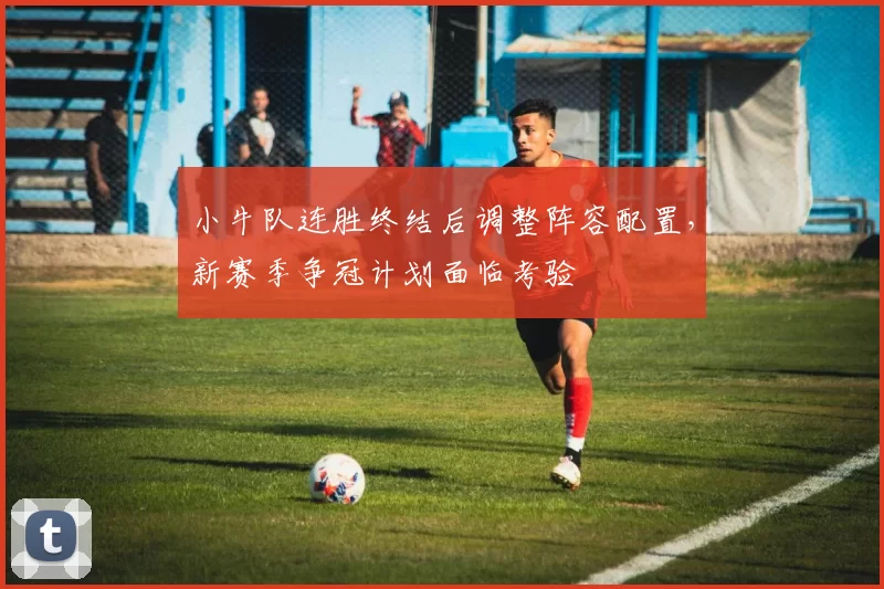 小牛队连胜终结后调整阵容配置，新赛季争冠计划面临考验
