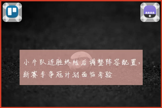 小牛队连胜终结后调整阵容配置,新赛季争冠计划面临考验