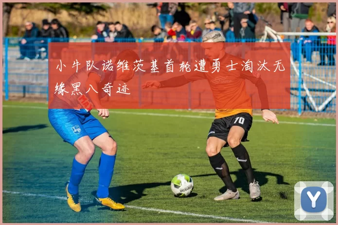 小牛队诺维茨基首轮遭勇士淘汰无缘黑八奇迹