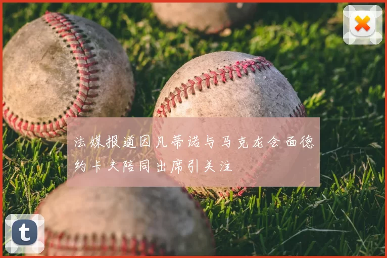 法媒报道因凡蒂诺与马克龙会面德约卡夫陪同出席引关注