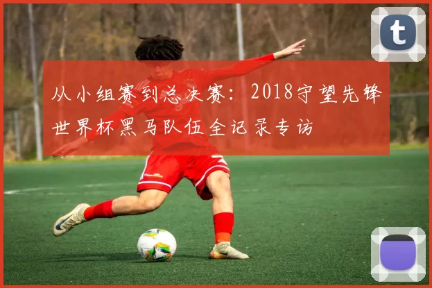 从小组赛到总决赛：2018守望先锋世界杯黑马队伍全记录专访