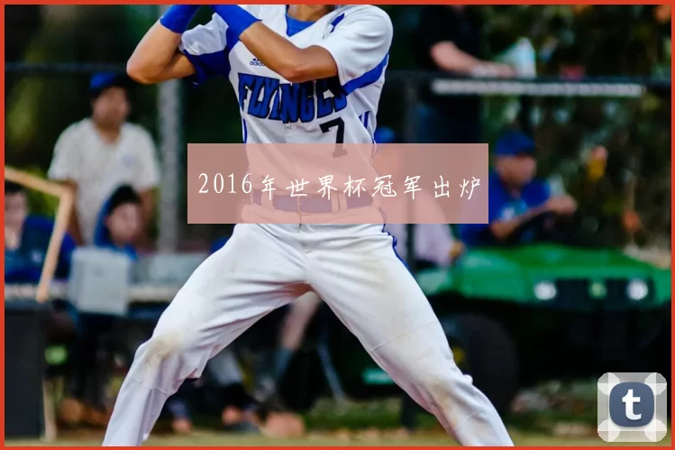 2016年世界杯冠军出炉