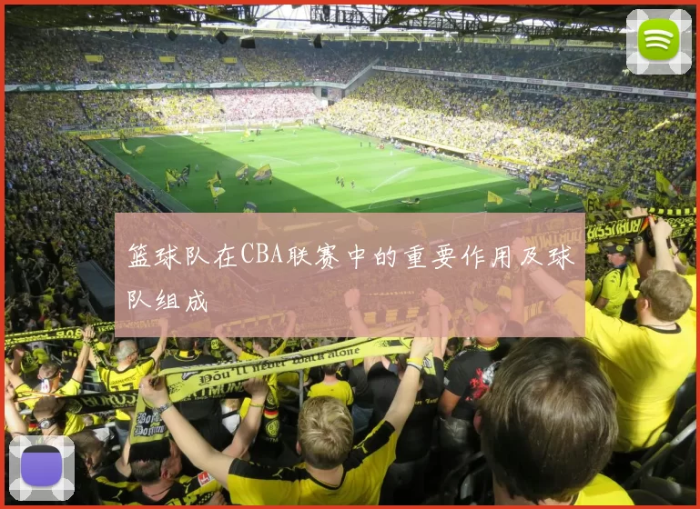 篮球队在CBA联赛中的重要作用及球队组成