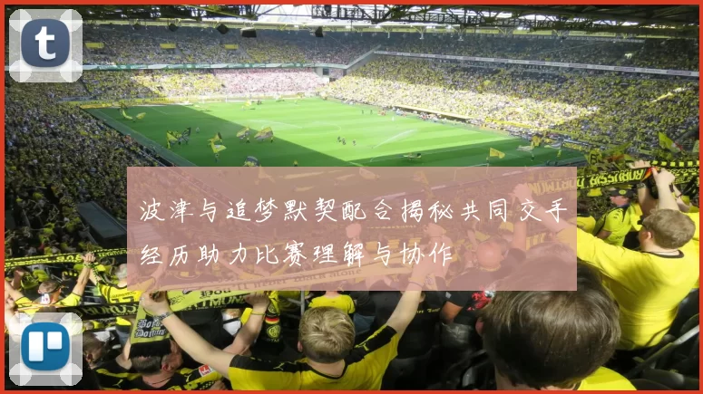 波津与追梦默契配合揭秘共同交手经历助力比赛理解与协作