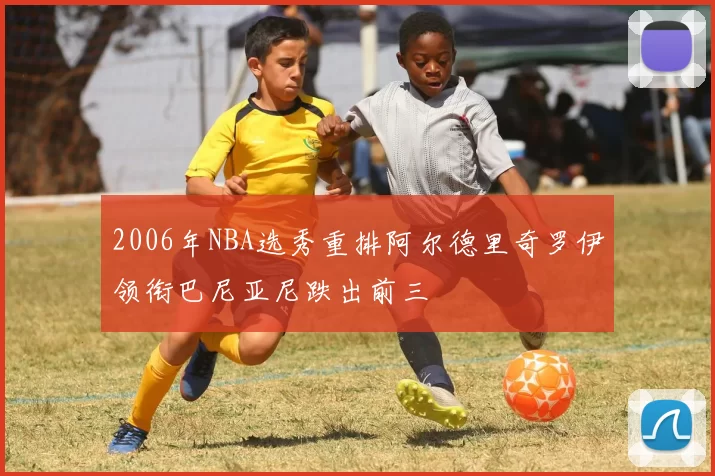 2006年NBA选秀重排阿尔德里奇罗伊领衔巴尼亚尼跌出前三