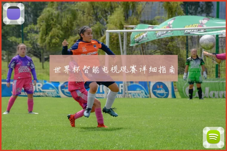 世界杯智能电视观赛详细指南