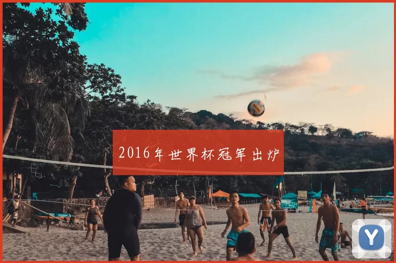 2016年世界杯冠军出炉