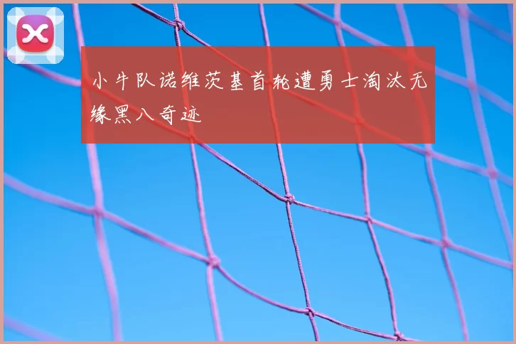 小牛队诺维茨基首轮遭勇士淘汰无缘黑八奇迹